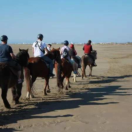 Confortable 3/4 Pers, 100m Plage, Parking Prive Au Grau-du-roi - Fr-1-307-20 Le Grau-du-Roi